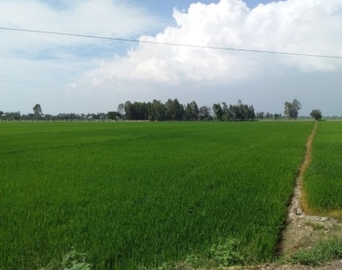 CÔNG TY PHÚC HẢI